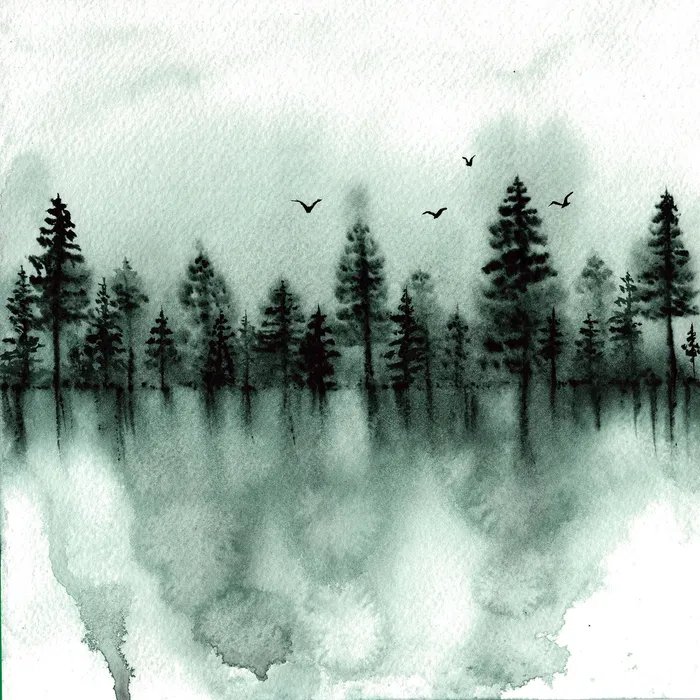 Wayward Ceremonies album cover. The album portray the tree line of a forrest and some birds flying above. 
