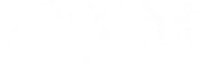 Marvatten logotype. Marvatten being displayed as tree branches above a waterline with the letters reflecting in the water. A bird is sitting on top of the two T letters.