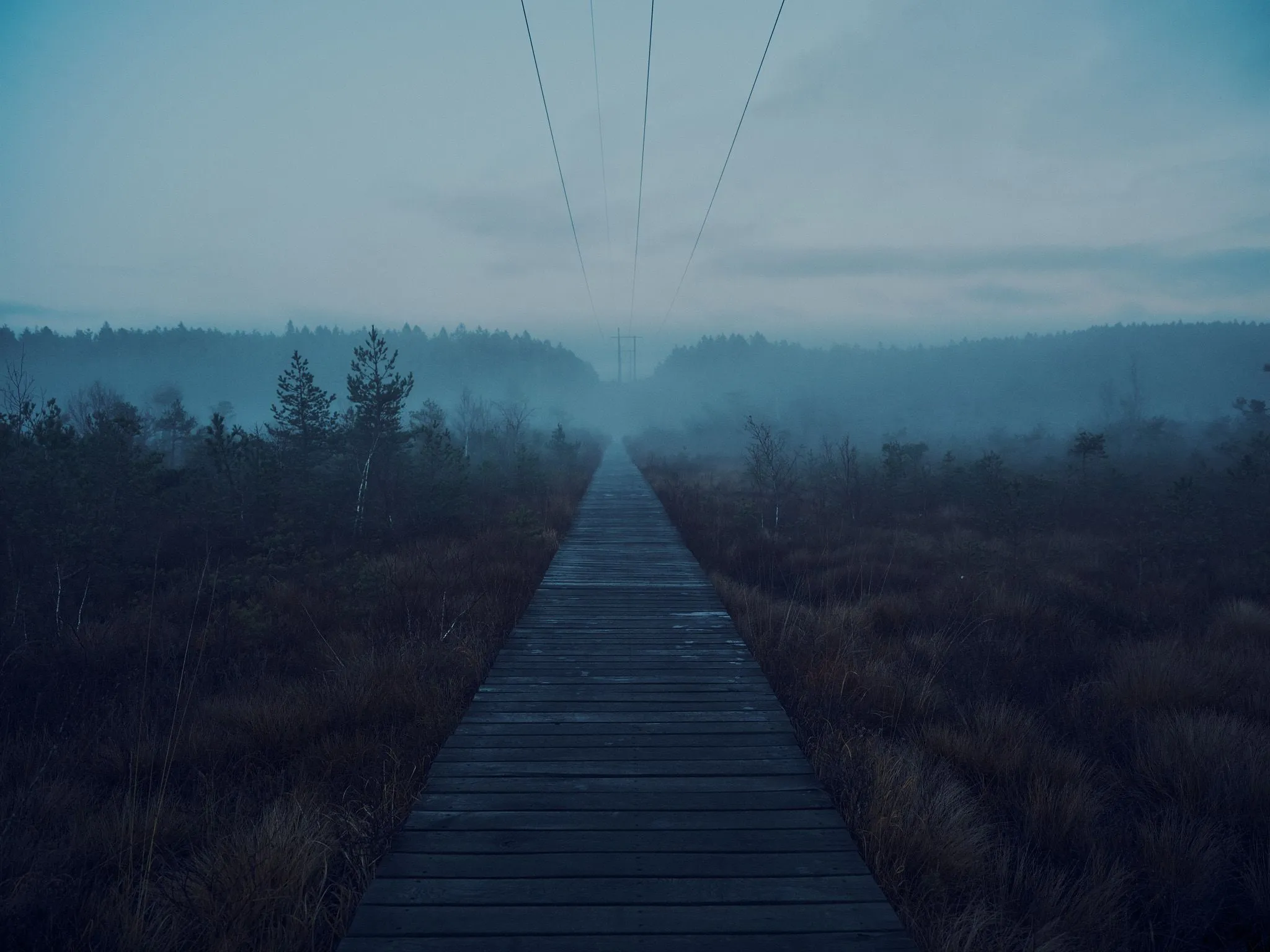 Environmental photo of a mist covered mire. There is a bridge in the center, going from where the photo is taken straight to the other end of the mire. Above it stretches a power line.
