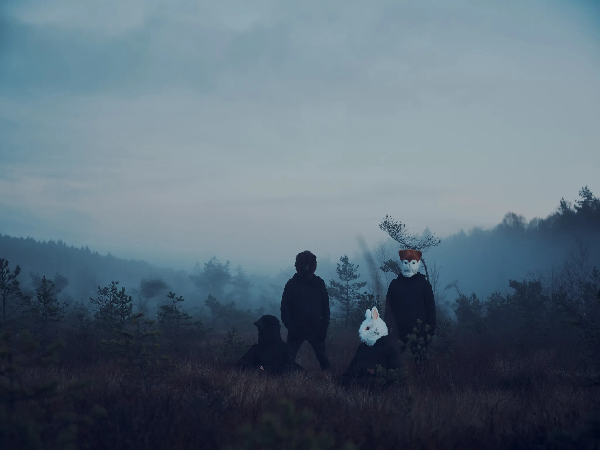 Band photo. The four band members stand or sit in a mist covered mire wearing black clothes and animal masks, resembling from left to right a crow, a bear, a rabbit and a cat.