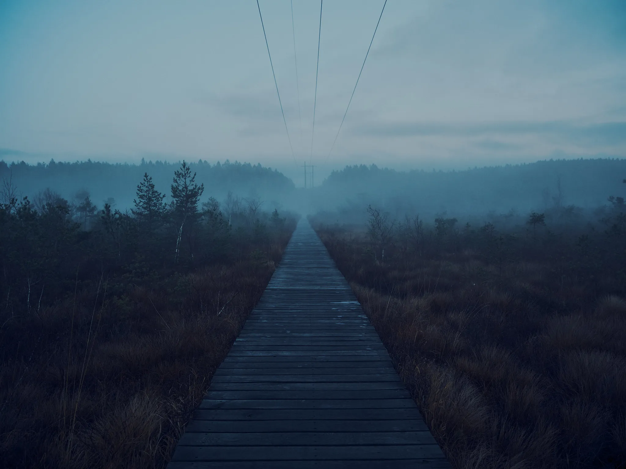 Environmental photo of a mist covered mire. There is a bridge in the center, going from where the photo is taken straight to the other end of the mire. Above it stretches a power line.